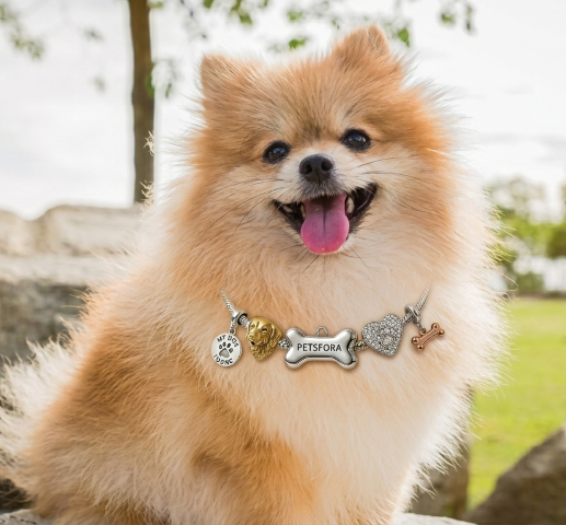 Collar de Lujo PETSFORA - Image 3