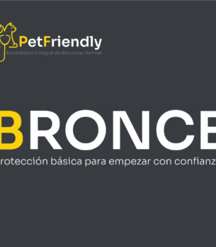SUSCRIPCIÓN BRONCE