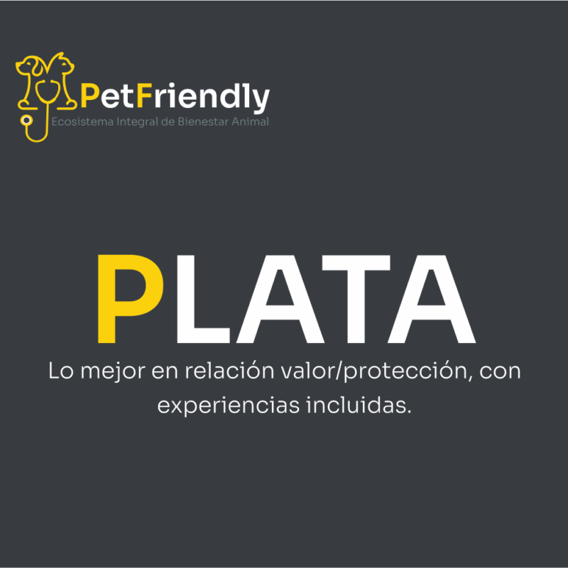 SUSCRIPCIÓN PLATA