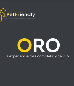 SUSCRIPCIÓN ORO