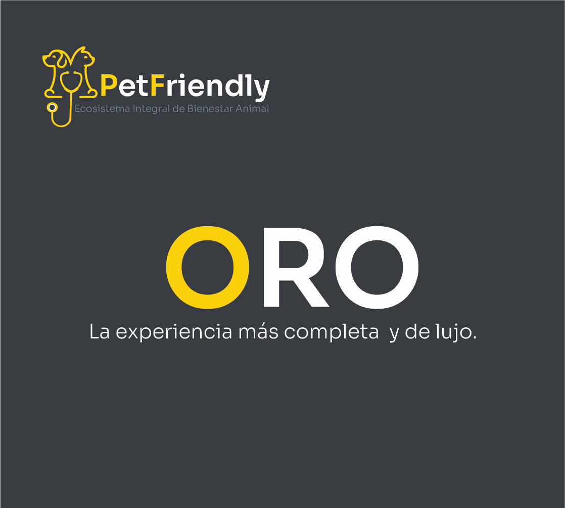 SUSCRIPCIÓN ORO